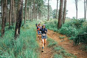 BIB: 
                            <button type="button" onclick="openModal(25654905)" class="btn btn-primary btn-sm float-right btn-popup" data-toggle="modal" data-target=".modal-high-quality">
                        <i class="fas fa-shopping-cart"></i> Add to Cart
                    </button>
                                            <button type="button" onclick="isThisMe(25654905, true)" class="btn btn-success btn-sm float-right btn-popup btn-isme hidden" data-toggle="tooltip" data-placement="bottom" title="นี่คือรูปของคุณใช่ไหม คลิกที่นี่เพื่อเอาเข้าอัลบั้ม">
                        <i class="fas fa-plus"></i> Add to album
                    </button>
                    <button type="button" onclick="isThisMe(25654905, false)" class="btn btn-warning btn-sm float-right btn-popup btn-isnotme hidden">
                        <i class="fas fa-ban"></i> Remove from album
                    </button>